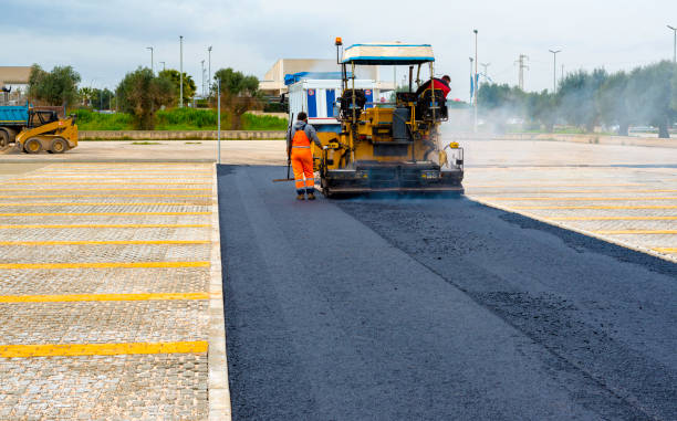Best Professional Driveway Pavers  in Zellwood, FL