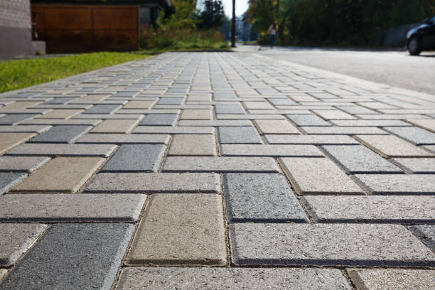 Best Brick Driveway Pavers  in Zellwood, FL